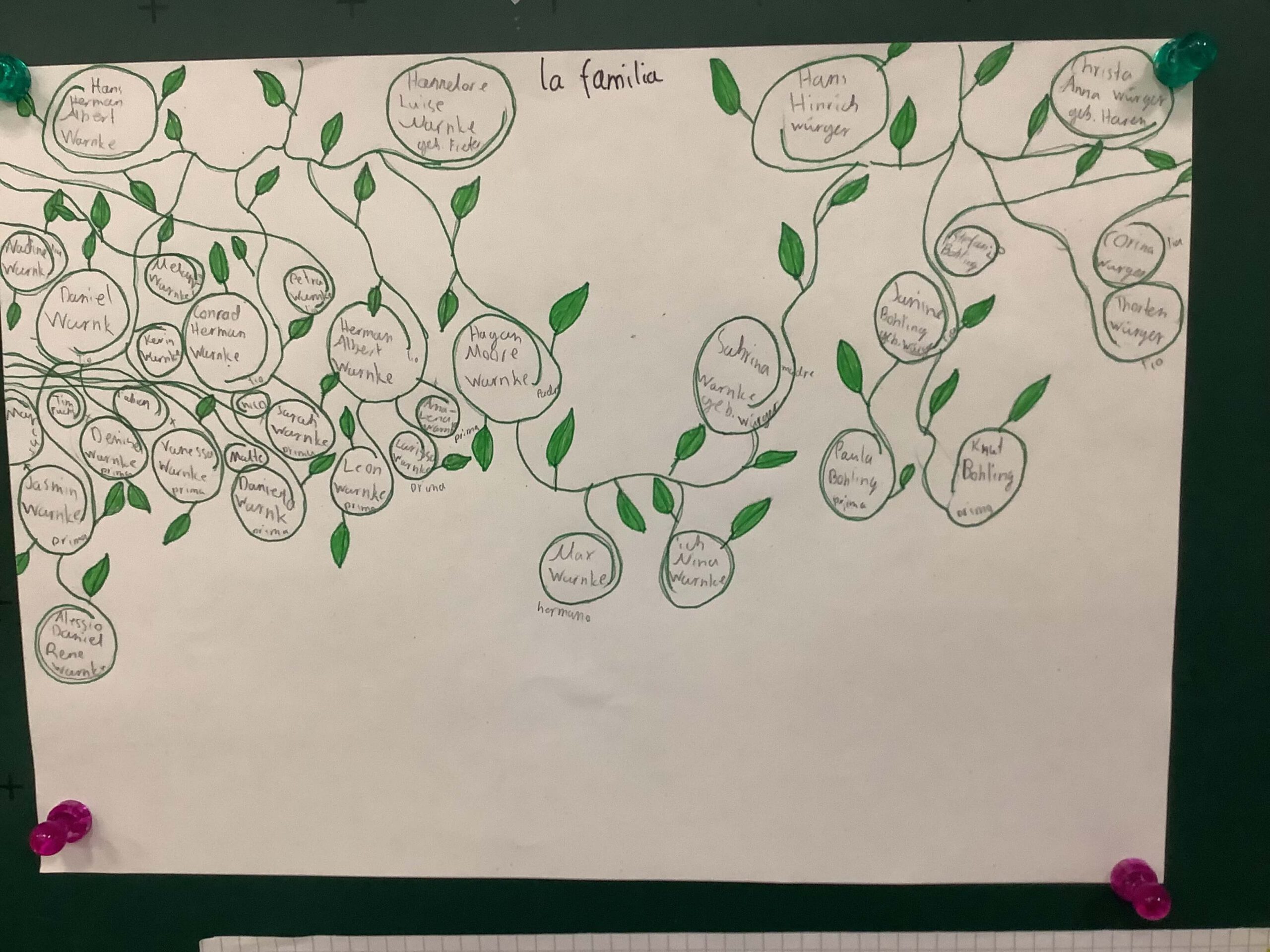 Ejemplo de experiencia 1 (Tengo 15 años - marcELE)